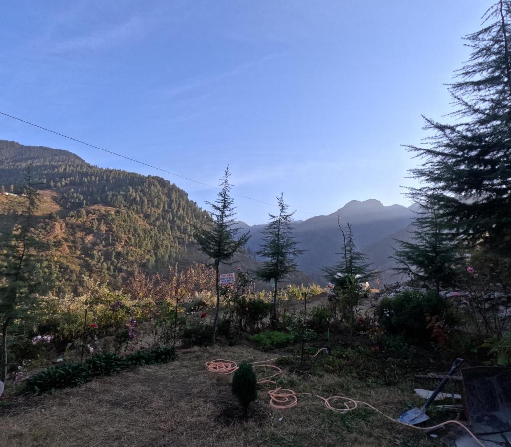 The Void - Tirthan Valley Gushaini Ngoại thất bức ảnh