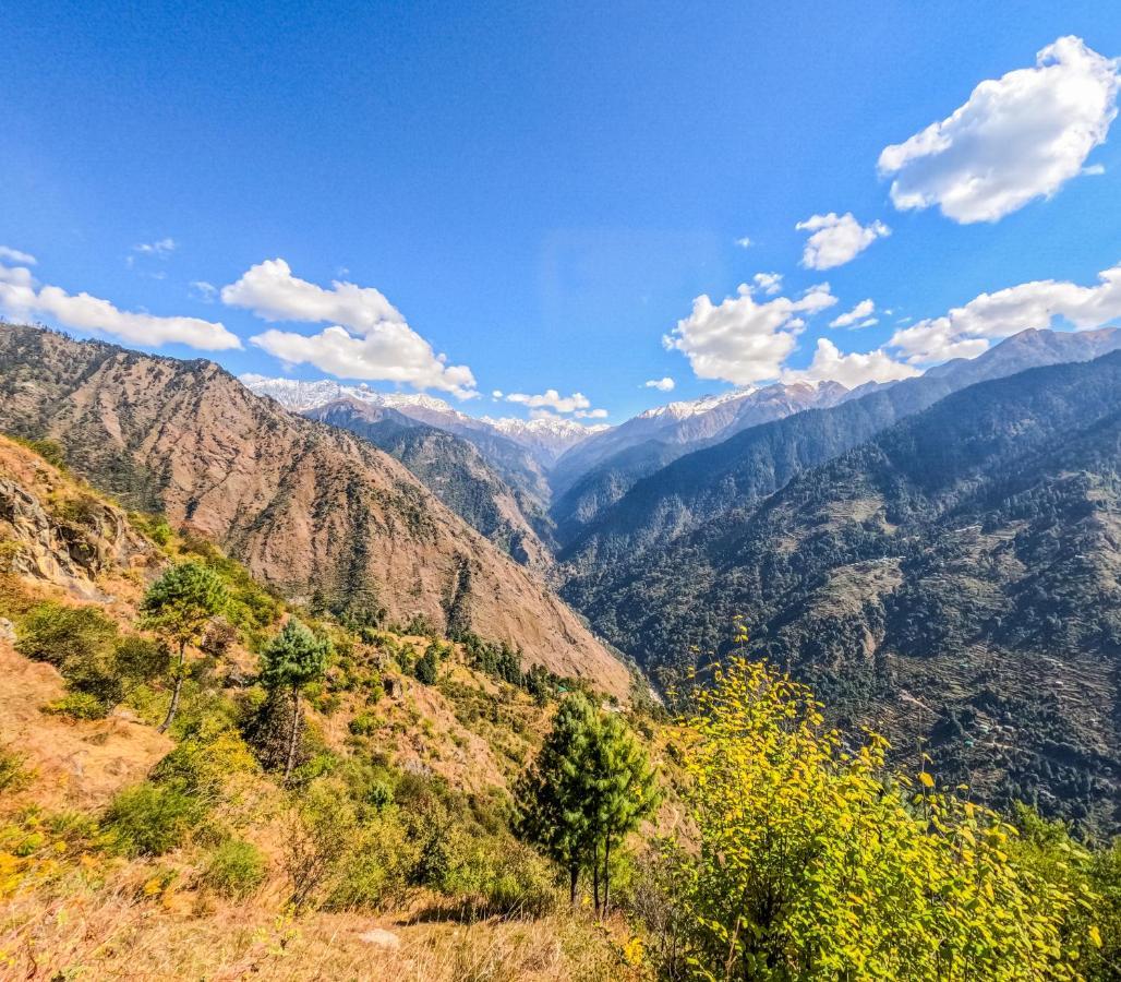 The Void - Tirthan Valley Gushaini Ngoại thất bức ảnh